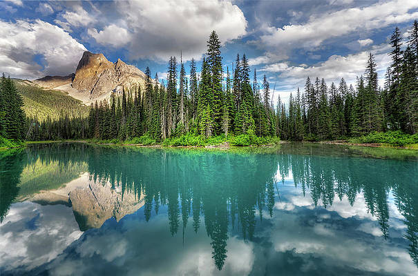 Wall Art - Photograph - Emerald ... by Zoran Dujic Lighthunter