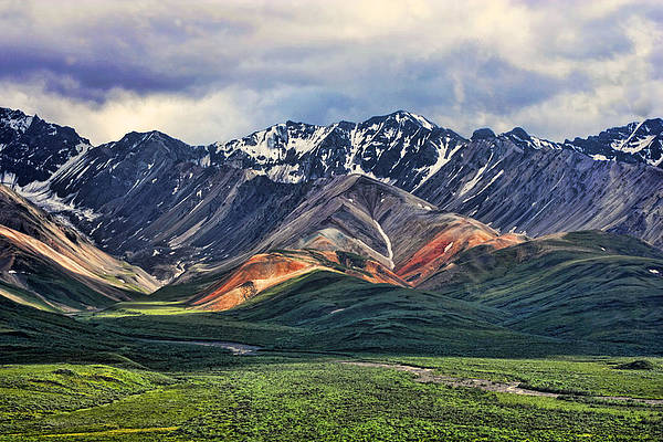 Wall Art - Photograph - Polychrome by Heather Applegate
