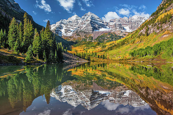 Wall Art - Photograph - Autumn Bells by Guy Schmickle
