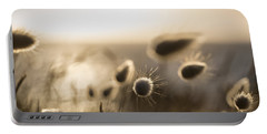 Evening Portable Battery Charger